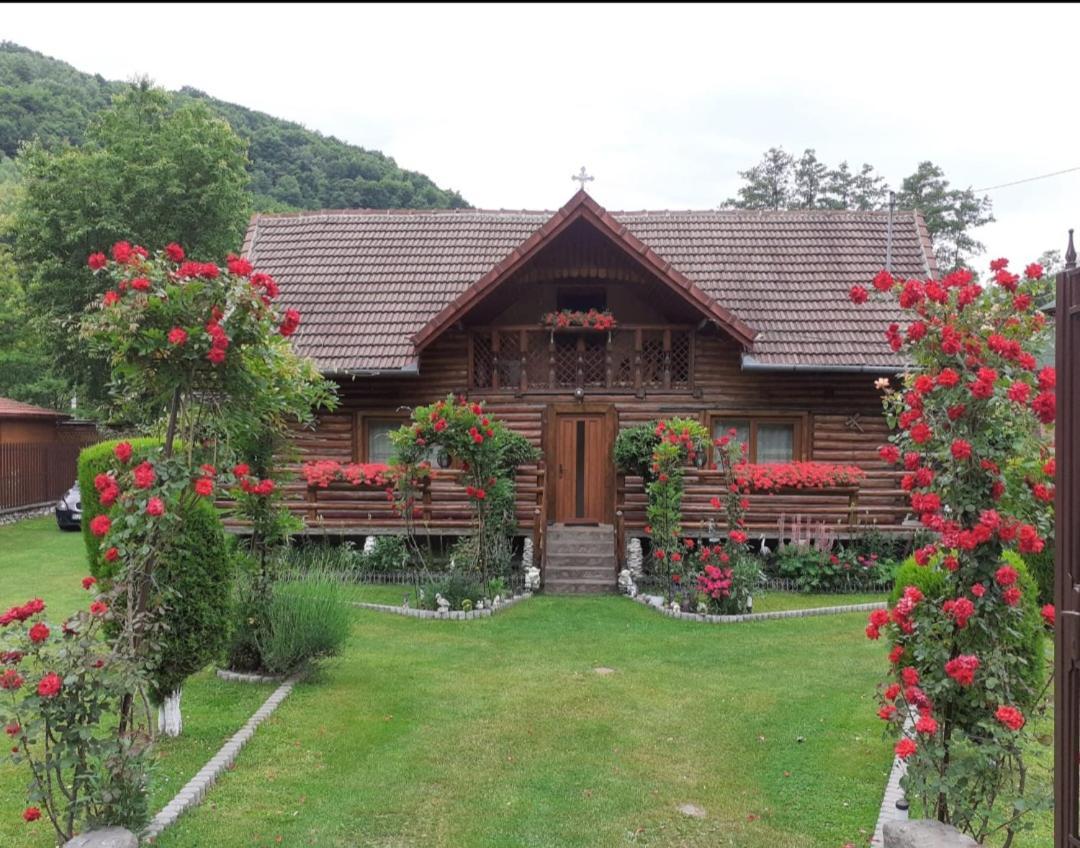 Hotel Casa Bunicii Costeşti Exteriér fotografie