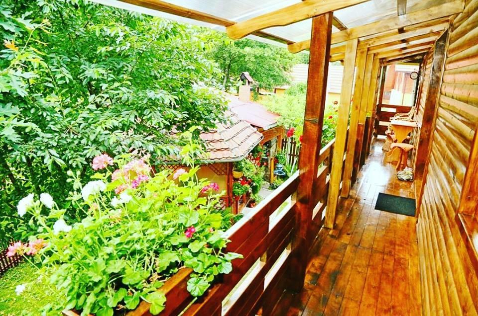 Hotel Casa Bunicii Costeşti Exteriér fotografie