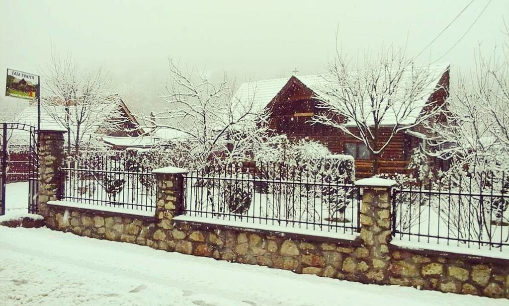 Hotel Casa Bunicii Costeşti Exteriér fotografie